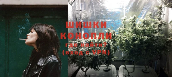 2c-b Богородицк